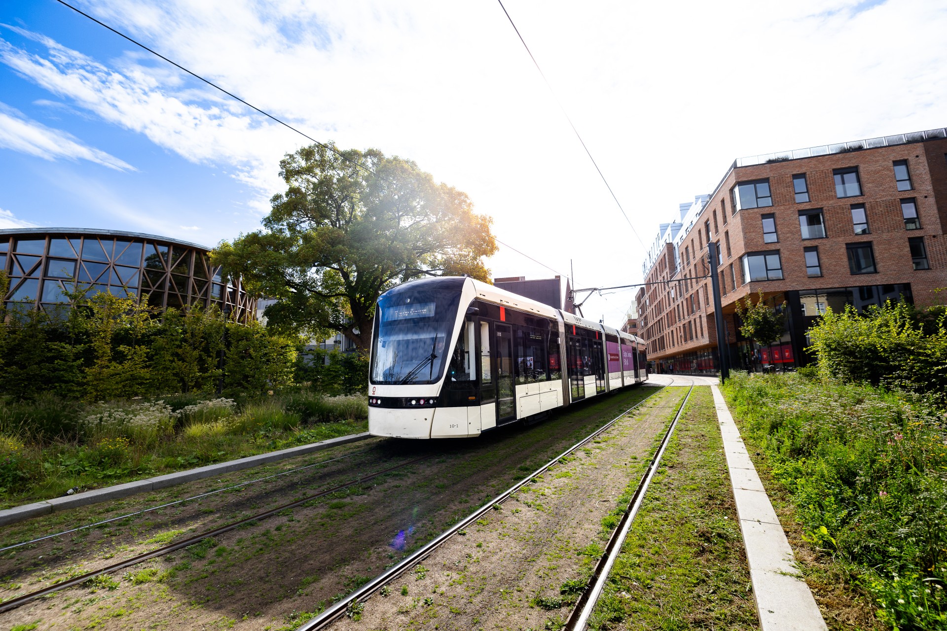 Keolis 8247 2 high 3