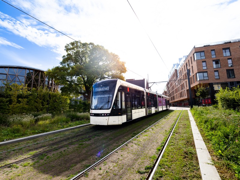 Keolis 8247 2 high 3